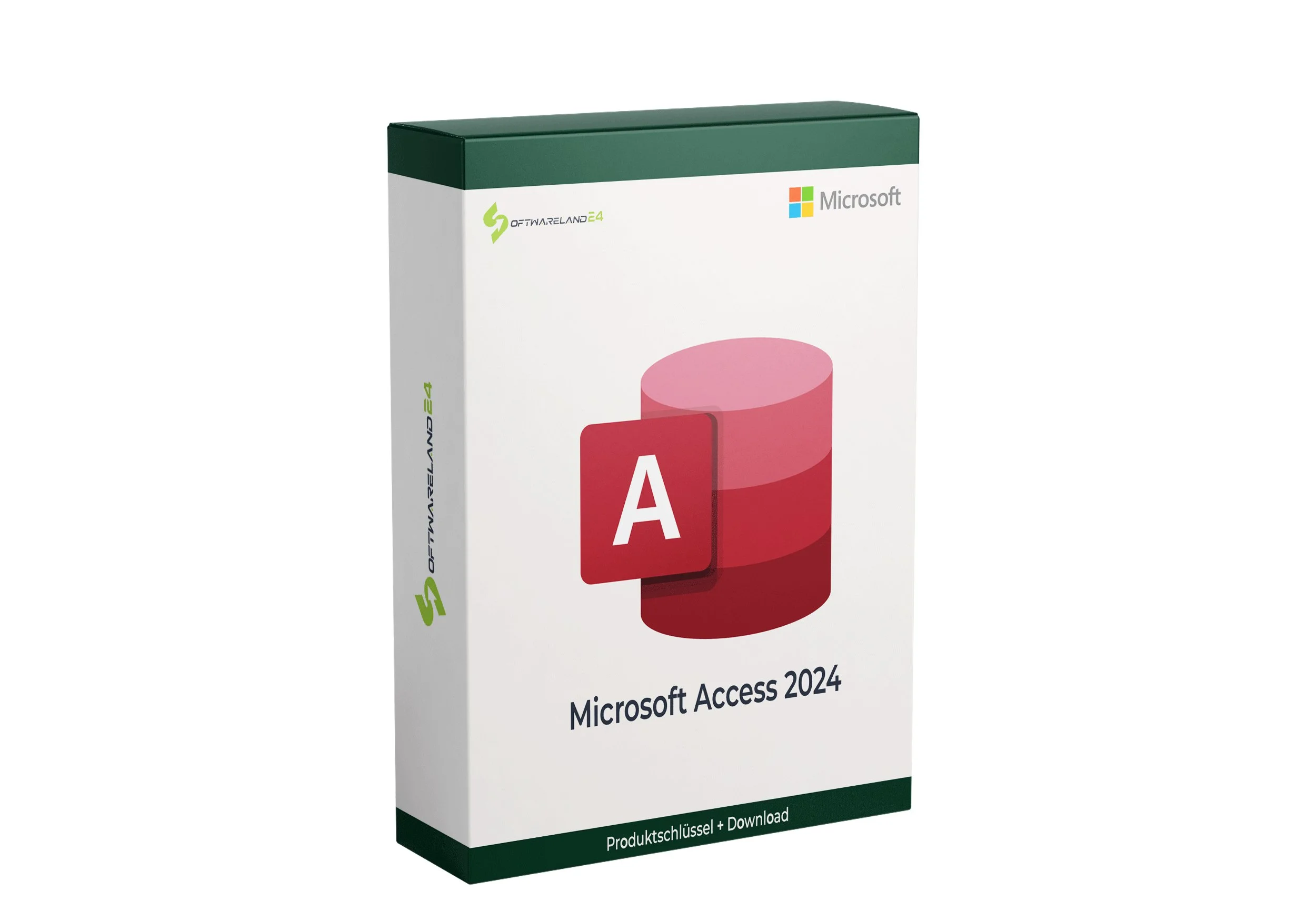 Microsoft Access 2024