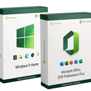 Microsoft Office 2019 Professional Plus & Windows 11 Home (Bundle)