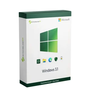 Microsoft Windows 3.1