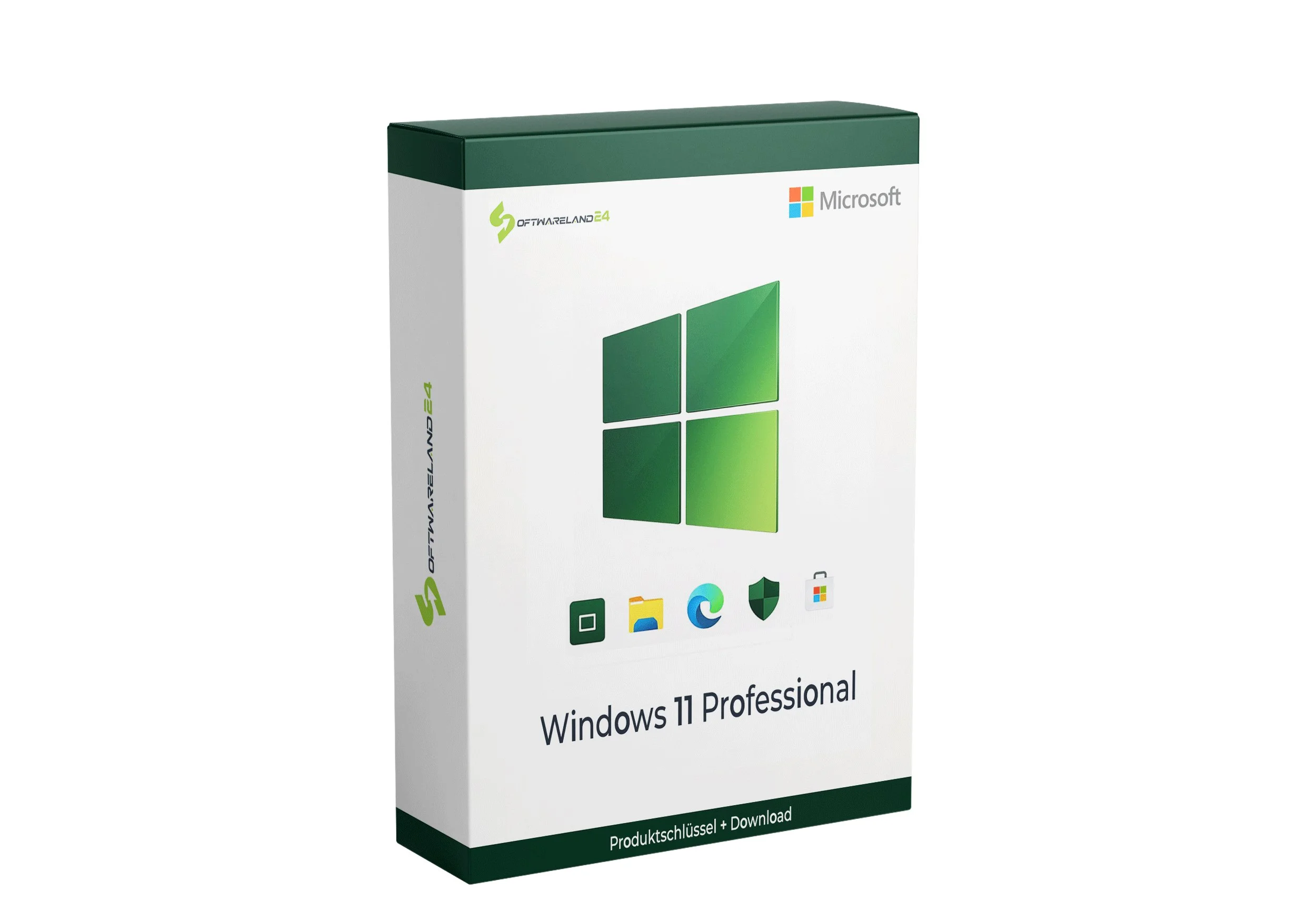 Microsoft Windows 11 Professional Retail