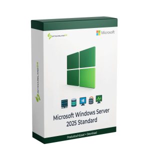 Microsoft Windows Server 2025 Standard